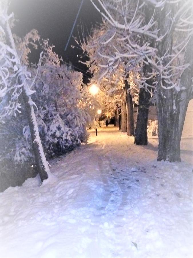 Villa Rosalia فييانوا المظهر الخارجي الصورة
