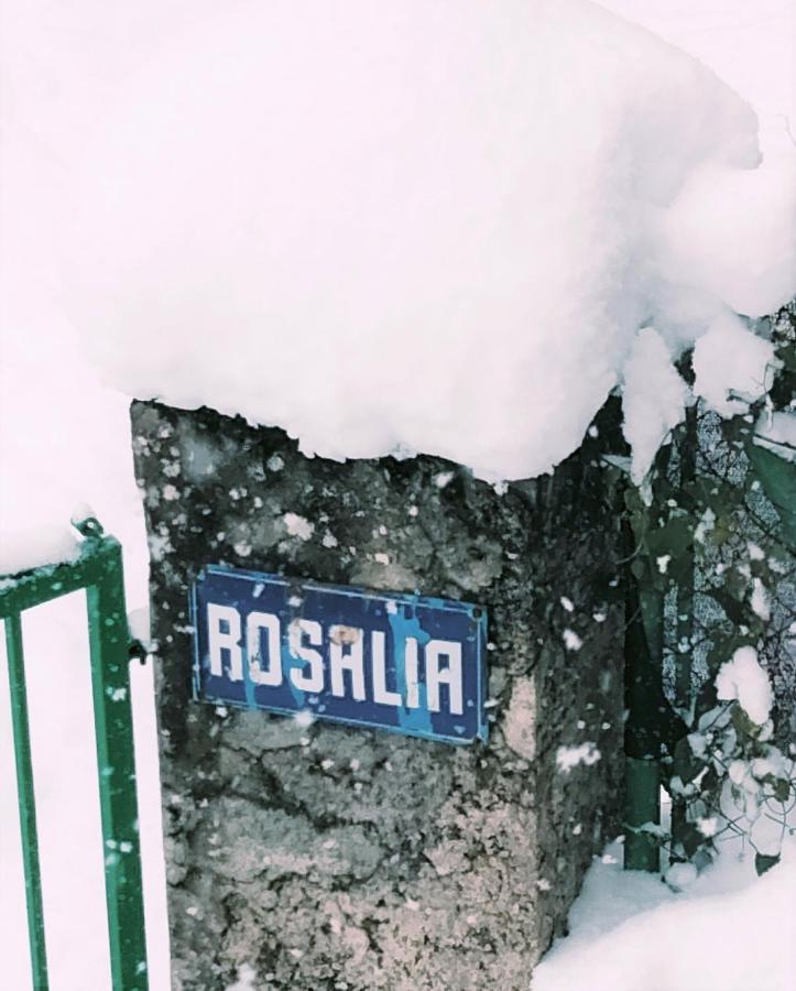 Villa Rosalia فييانوا المظهر الخارجي الصورة